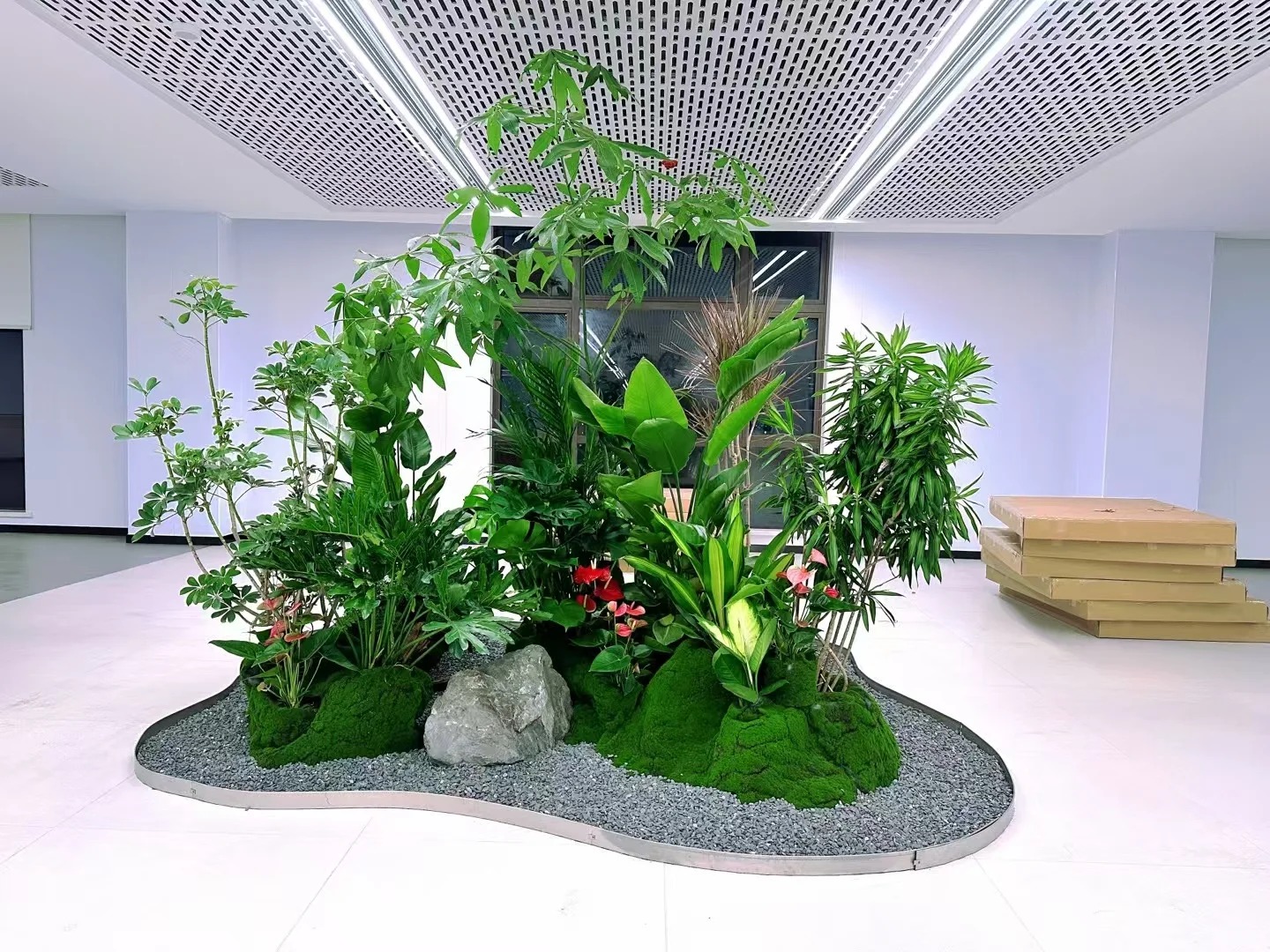 专业花卉出租，让杭州湾的每个角落都绽放精彩